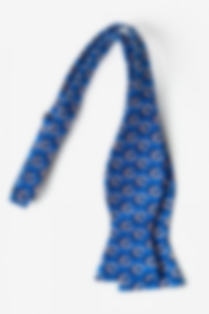 Shoe Fits Butterfly Bow Tie